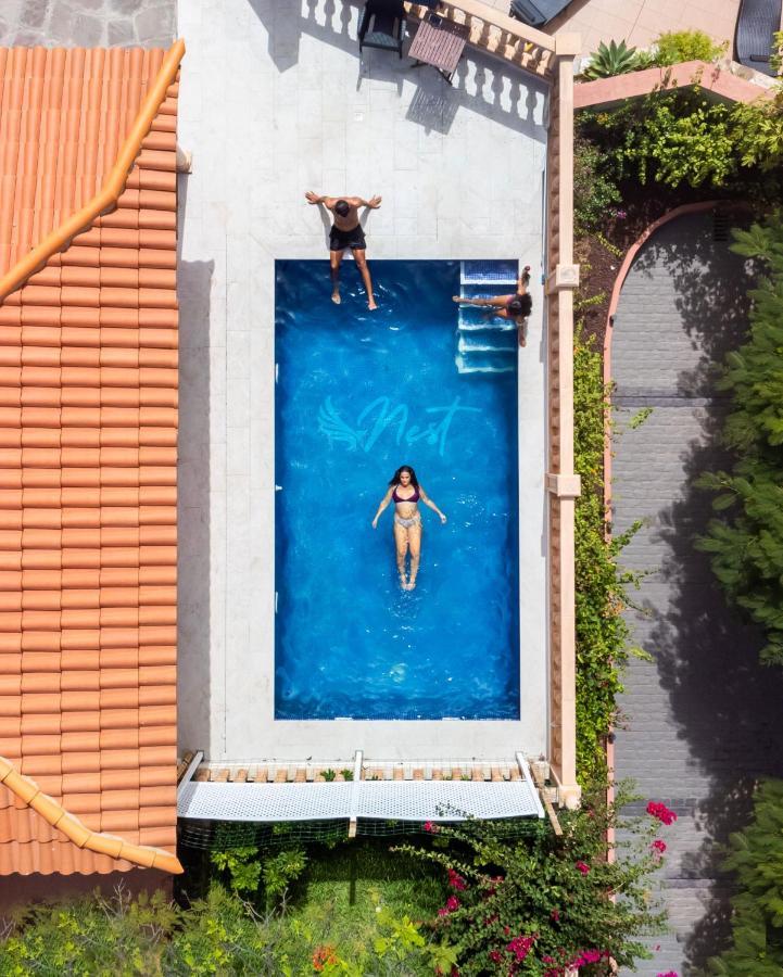 Duque Nest Hostel アデヘ エクステリア 写真